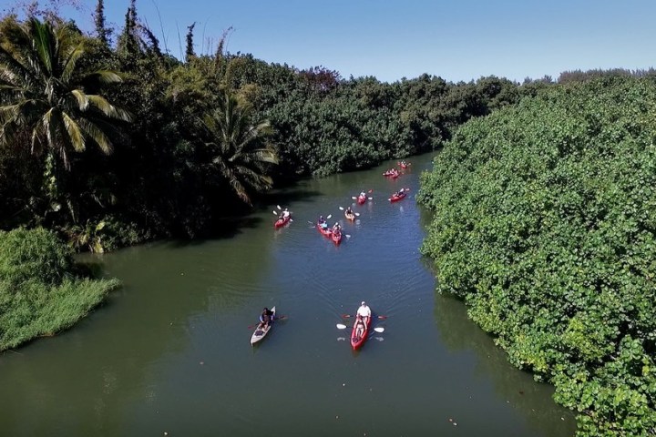 a group of people in a body of water surrounded by trees