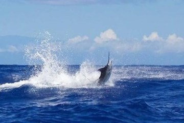 a man riding a wave on top of a body of water with Southern Ocean in the background