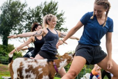 a person holding a dog