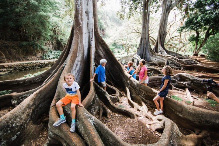 a group of people sitting around a tree trunk