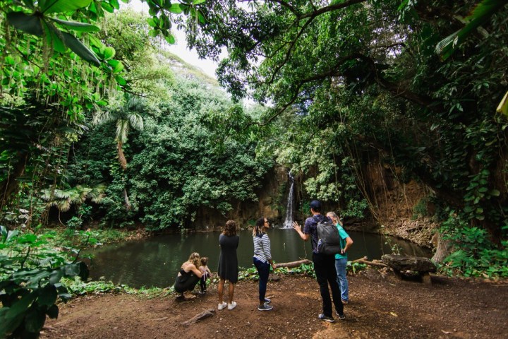 a group of people walking down a dirt path next to a tree