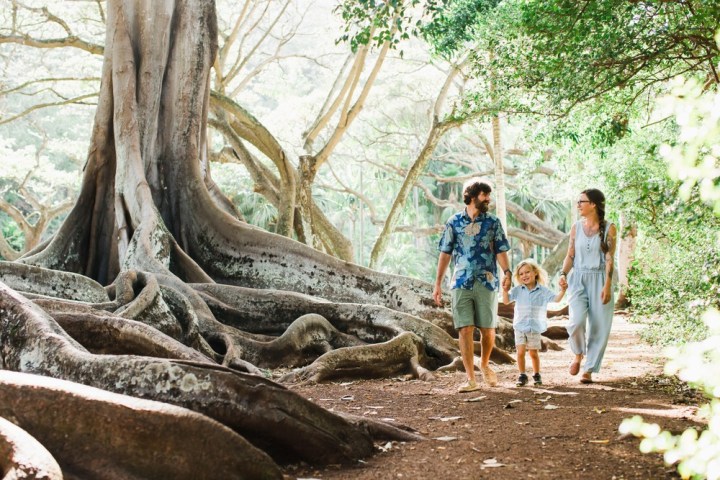 a group of people standing next to a tree