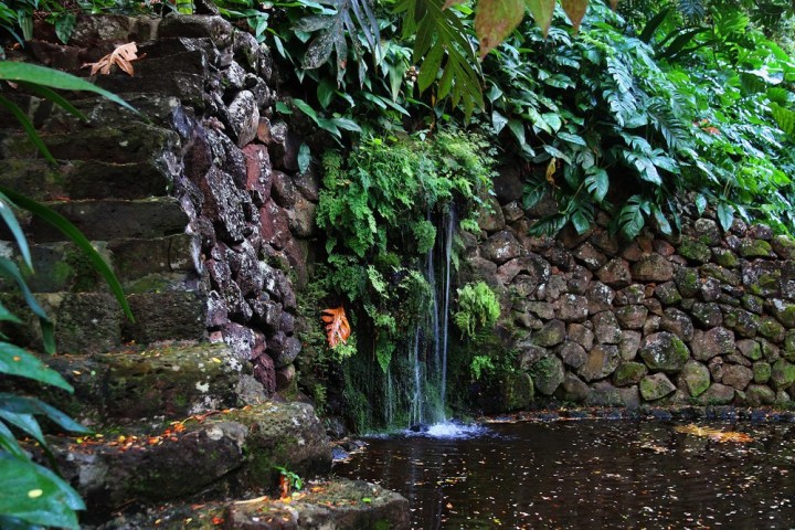 a large waterfall in a garden