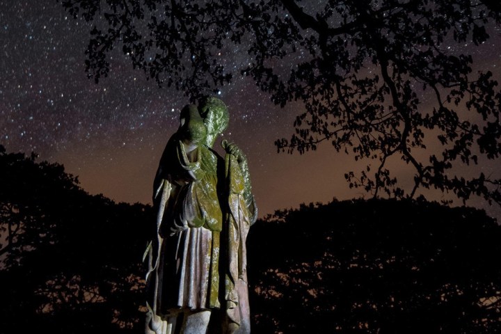 a man standing next to a tree in the dark