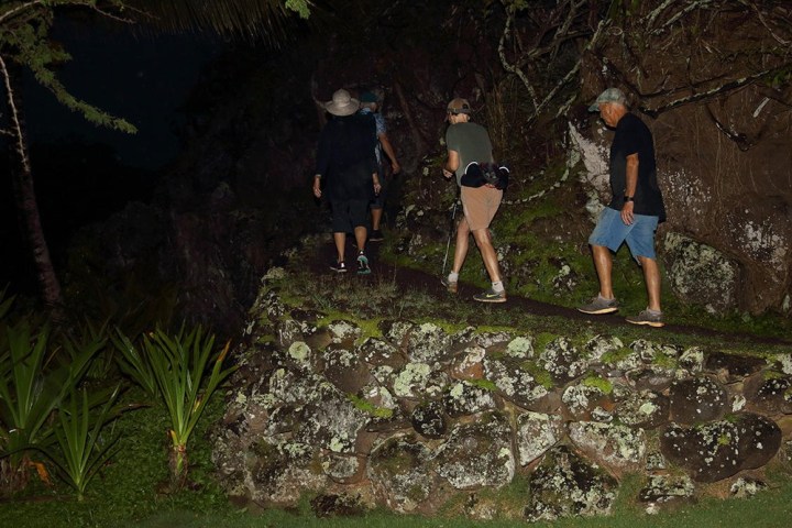 a group of people standing next to a tree