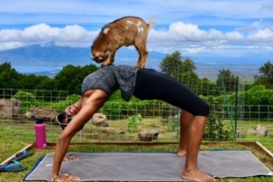a man doing a trick in the grass