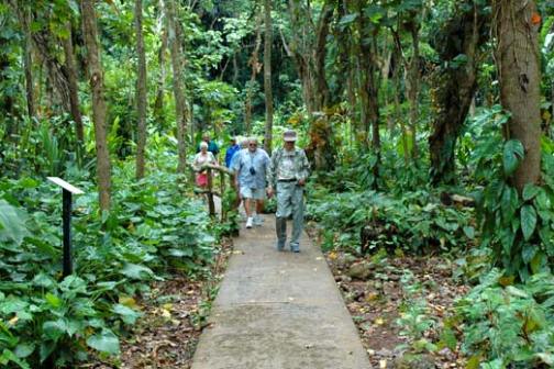 a group of people in a forest