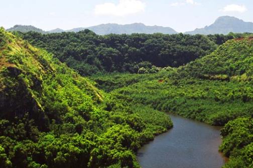 a river with a lush green hillside