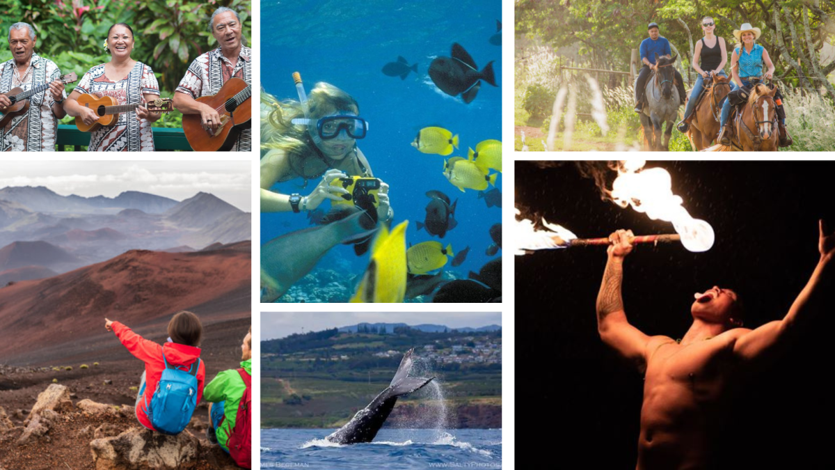 HIAC photo collage photo grid of hawaiian activities