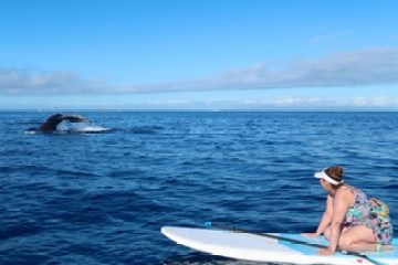 a person riding a wave on a surfboard in the water