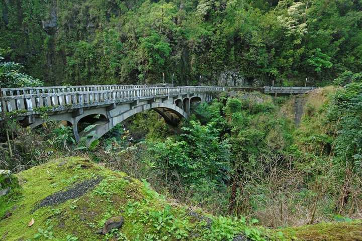 a train traveling over a bridge on top of a lush green forest