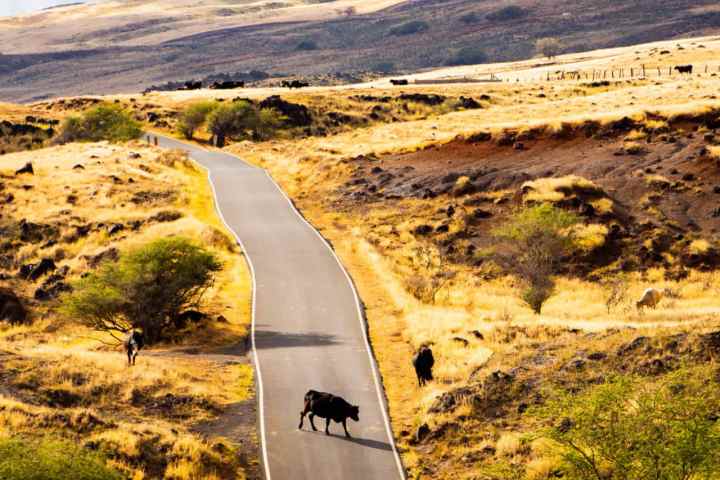 a man riding a skateboard down the side of a mountain