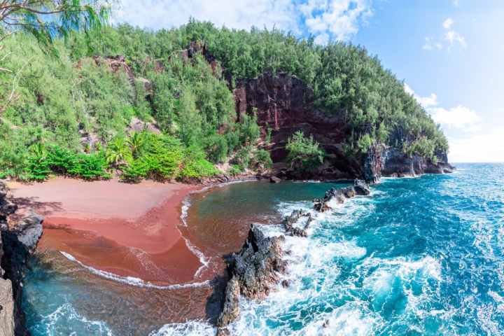 a group of people swimming in a body of water