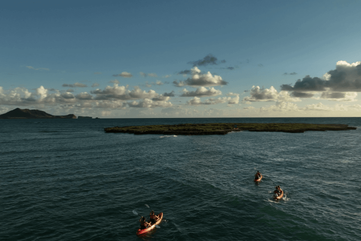 a group of people in a large body of water