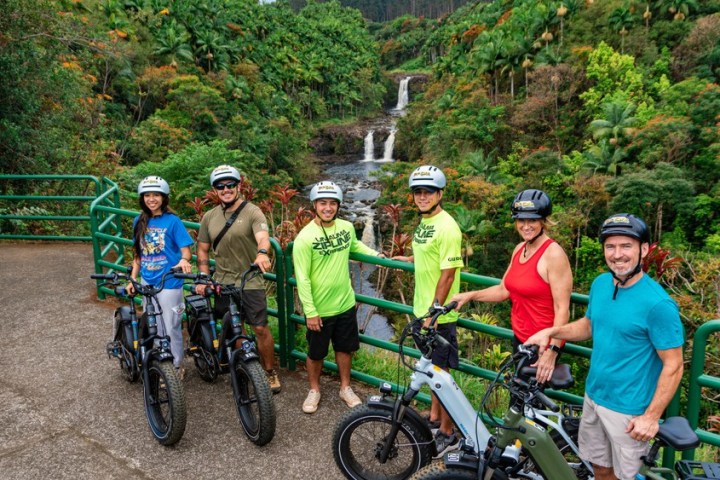 a group of people riding on the back of a bicycle