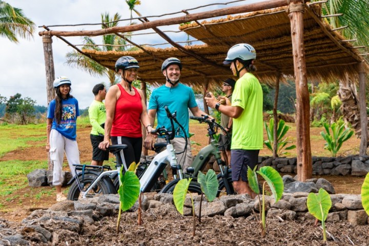 a group of people standing in a garden