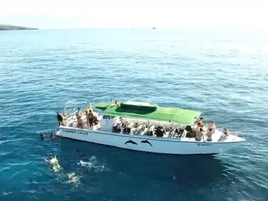 Aerial view of a boat with people in the ocean, some swimming nearby.