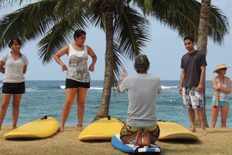 a group of people on a beach with a palm tree