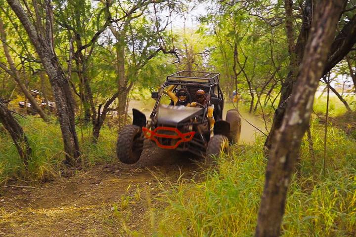 a atv is driving in a forest