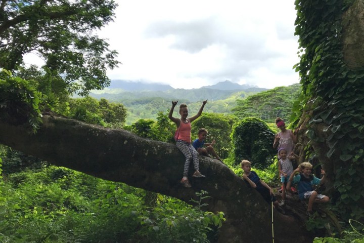a group of people standing next to a tree