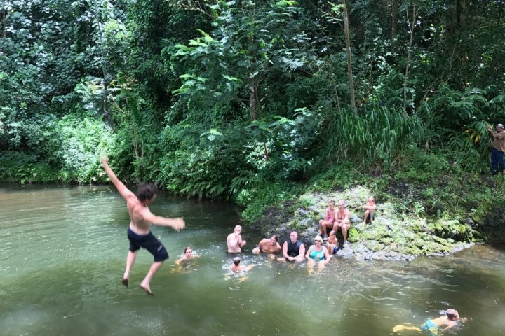 a group of people swimming in the water