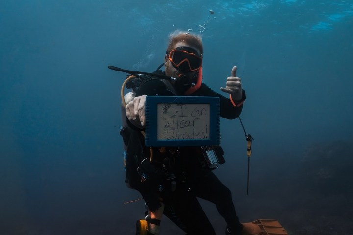 a man swimming in the water