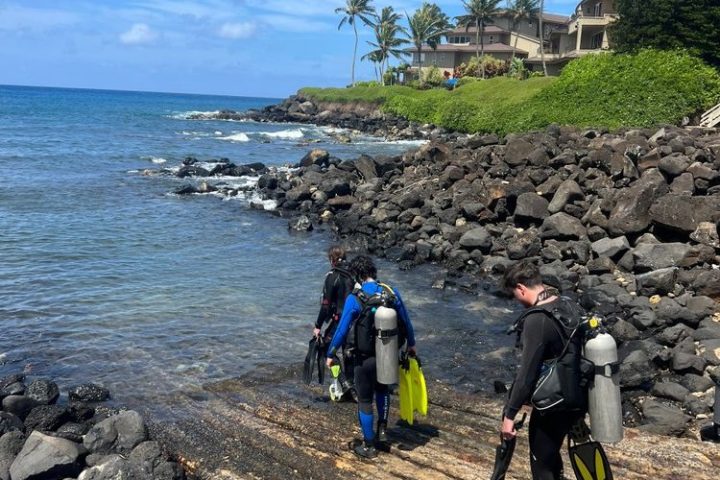 a group of people on a rocky beach
