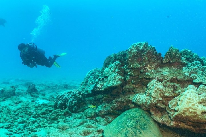 underwater view of a swimming pool