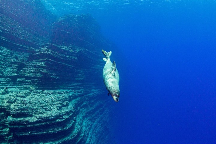 underwater view of the water