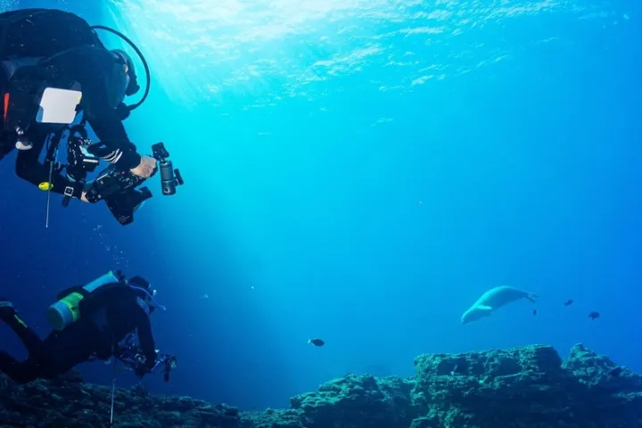 a group of people swimming in the water