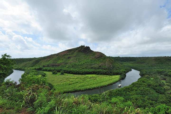 a close up of a hillside next to a body of water