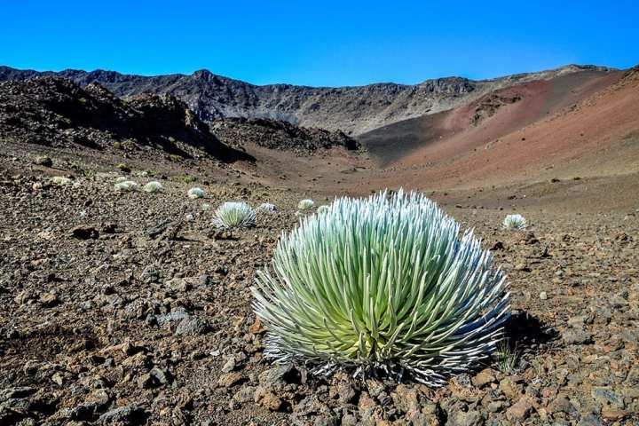 the desert is on the side of a mountain