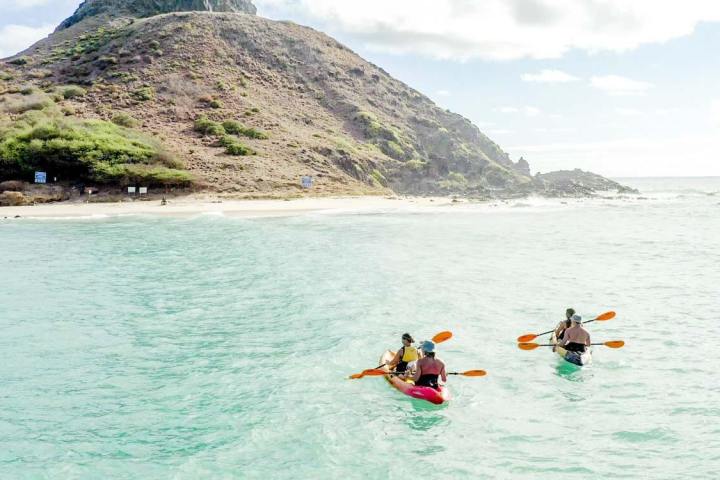 a group of people swimming in a body of water