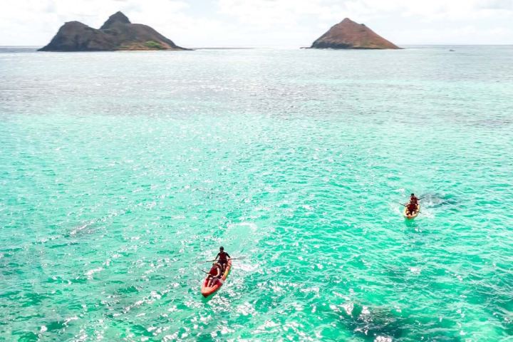 a group of people kayaking in a body of water