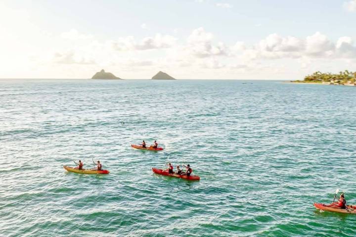 a group of people kayaking off Oahu coast