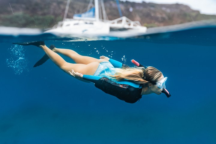 a bird flying over a body of water