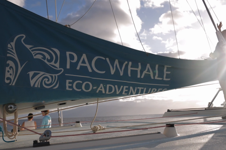 Sailboat with 'PACWHALE ECO-ADVENTURES' banner at sunset, person raising hand.