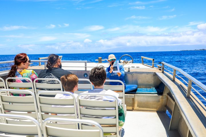 People sitting on a boat with a guide against a blue sea and sky background.