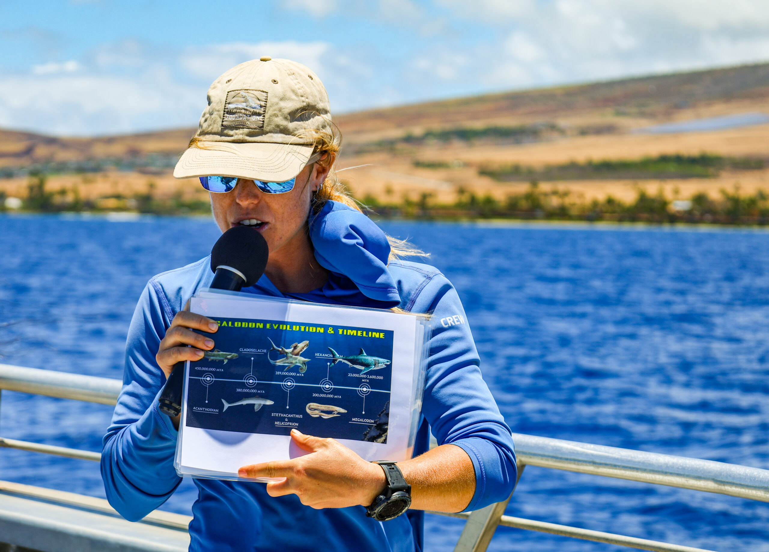 Sharks of the Reef Snorkel | Hawaii Adventure Center