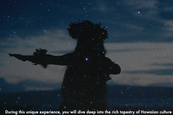 Silhouette of a hula dancer under a starry night sky with Hawaiian attire.