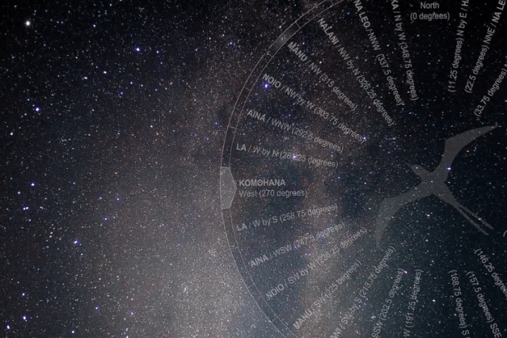 Starry night sky with a compass overlay and silhouette of a bird flying.