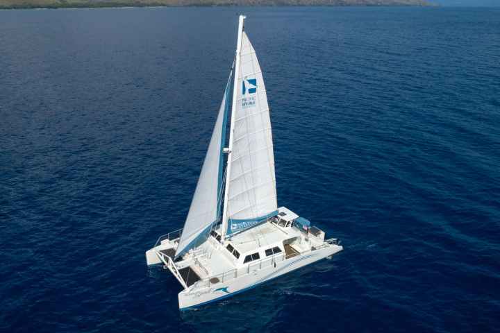 Aerial view of a white catamaran sailing on the ocean with land in the background.