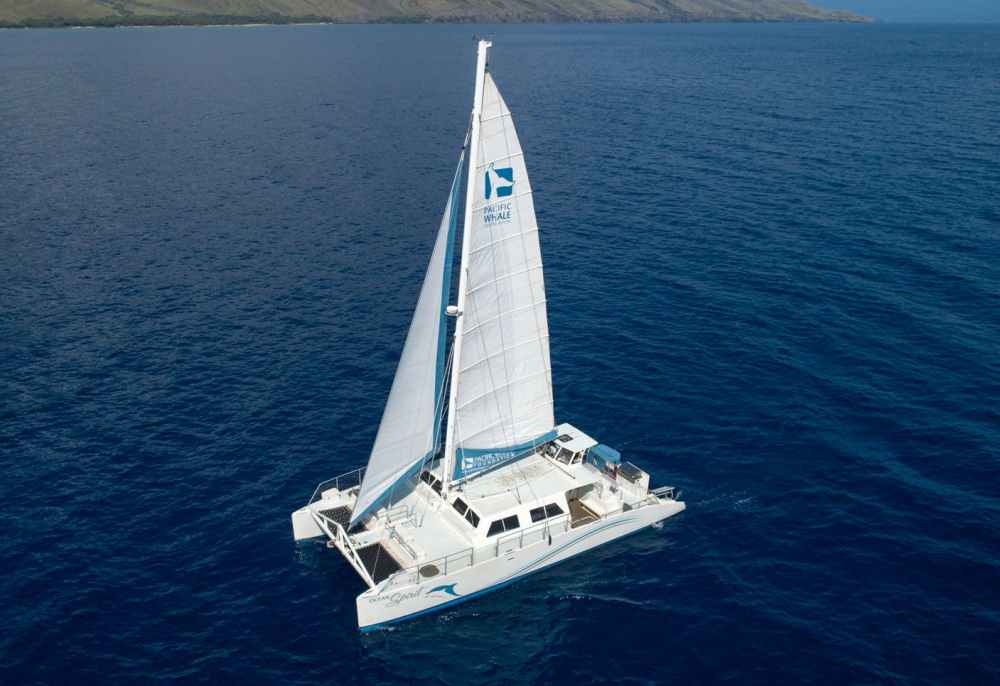 Aerial view of a white catamaran sailing on the ocean with land in the background.