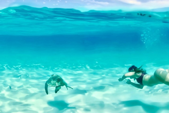 A snorkeler swims underwater near a sea turtle in clear blue water.