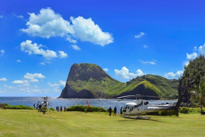 Two helicopters on a grassy field by the sea with lush green cliffs in the background.