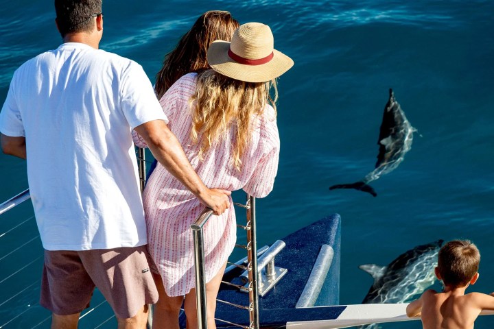People on a boat watching dolphins swimming in the ocean.