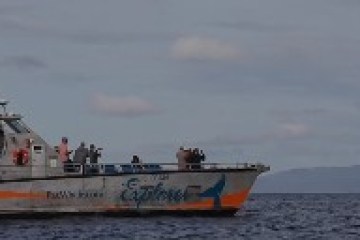 Tour boat on the ocean with people observing; island visible in the distance.