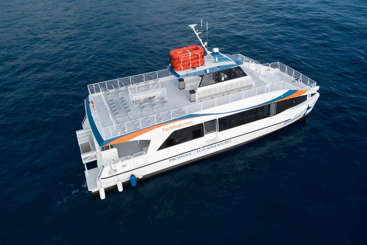 Aerial view of a white ferry with orange signage on blue ocean.