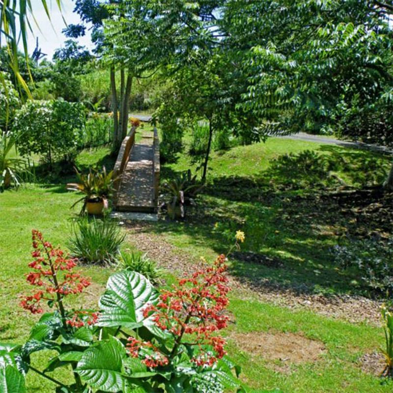 Garden with red flowers, lush greenery, and a wooden bridge in the background.