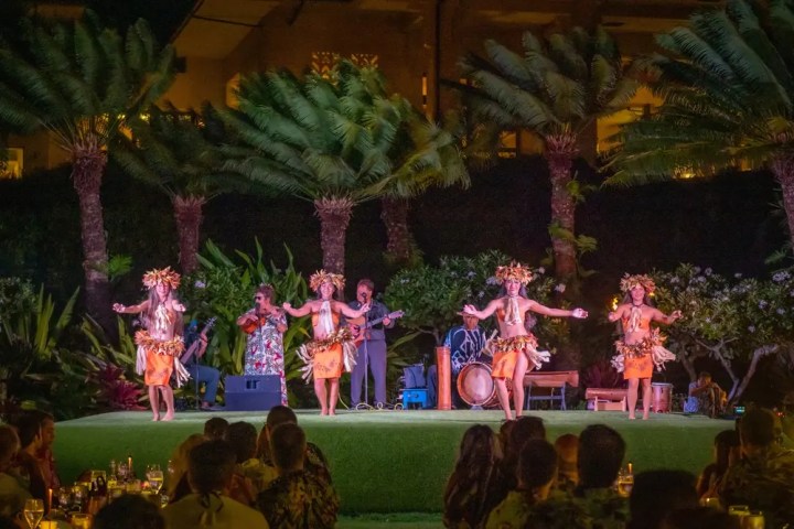 Hula dancers perform on a lit outdoor stage with musicians and palm trees at night.